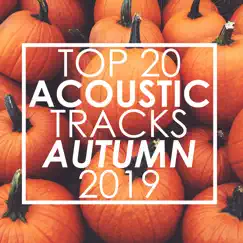 Top 20 Acoustic Tracks Autumn 2019 (Instrumental) by Guitar Tribute Players album reviews, ratings, credits