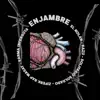 Enjambre (feat. Solitario Soldado & Karma Infersota) - Single album lyrics, reviews, download