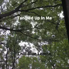 Tangled Up In Me Song Lyrics