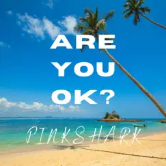 Are You Ok? (feat. Pinkshark) - Single by HIGHER POWER ENT. album reviews, ratings, credits