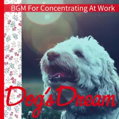 BGM For Concentrating At Work by Dog’s Dream album reviews, ratings, credits