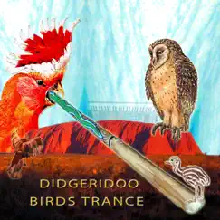 Didgeridoo Birds Dance (Naturally Groovy) [1 Remastered Version] by Various Artists album reviews, ratings, credits