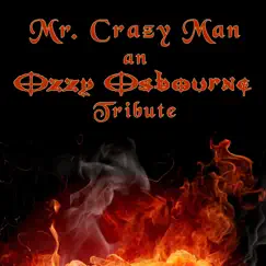 Mr. Crazy Man - Single by James Tyler album reviews, ratings, credits