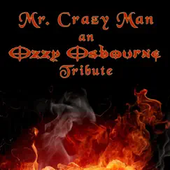 Mr. Crazy Man Song Lyrics