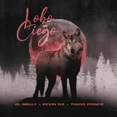 Lobo Ciego Song Lyrics