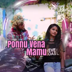 Pallu Vigura Pannu Song Lyrics