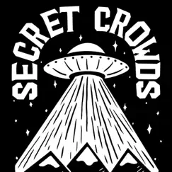 Race the Sun - Single by Secret Crowds album reviews, ratings, credits