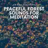 Peaceful Forest Sounds for Meditation album lyrics, reviews, download