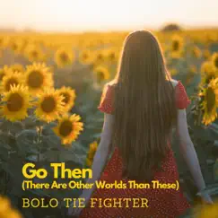 Go Then (There Are Other Worlds Than These) [Sunflower Remix] - Single by Bolo Tie Fighter album reviews, ratings, credits
