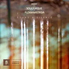Sound & Silence - Single by PROFF, Soultorque & flowanastasia album reviews, ratings, credits