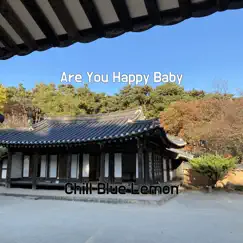 Are You Happy Baby Song Lyrics