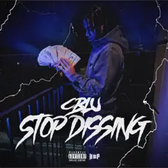 Stop Dissing - Single by C Blu album reviews, ratings, credits