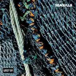 Seagulls (feat. MettaShiba) Song Lyrics