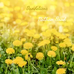 Dandelions (Cover) - Single by Nathan Brad album reviews, ratings, credits