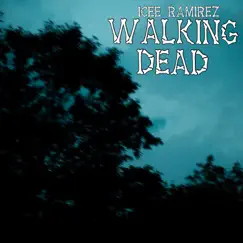 Walking Dead Song Lyrics