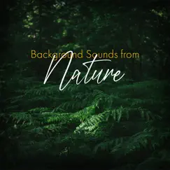 Background Sounds from Nature by Forest Hills Music Universe, Healing Rain Sounds & Abundant Nature Zen album reviews, ratings, credits