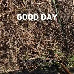 Good Day - Single by Pictures & Moments album reviews, ratings, credits