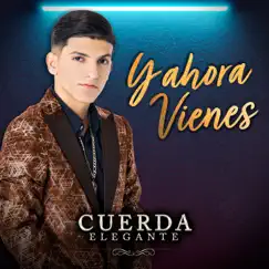 Y Ahora Vienes - Single by Cuerda Elegante album reviews, ratings, credits