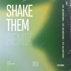Shake Them (Axel North Extended Remix) Song Lyrics