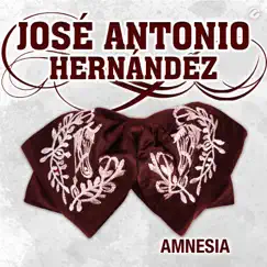Amnesia - Single by José Antonio Hernández album reviews, ratings, credits
