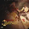 Perfect Timing - Single album lyrics, reviews, download