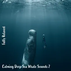 Fully Relaxed: Calming Deep Sea Whale Sounds 2 by Steve Brassel album reviews, ratings, credits