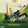 20 Éxitos Instrumental, Vol. 2 album lyrics, reviews, download