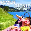 River Picnic Sounds (feat. Nature Sounds Explorer, OurPlanet Soundscapes, Paramount Nature Soundscapes, Paramount White Noise, Paramount White Noise Soundscapes & White Noise Plus) album lyrics, reviews, download