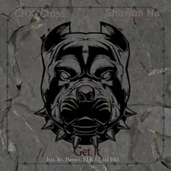 Get It (feat. DJ W.I.Z, DMX & Mr. Phoenix ) - Single by CRX/Cross & Shawan Na album reviews, ratings, credits