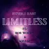 Limitless (feat. Sontaé & Rob Woods) - Single album lyrics, reviews, download