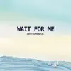 Wait For Me - Instrumental - Single album lyrics, reviews, download