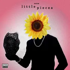 Little Pieces - Single by Astræ album reviews, ratings, credits