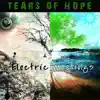 Electric Meetings album lyrics, reviews, download
