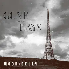 Gone Are the Days - Single by Wood Belly album reviews, ratings, credits
