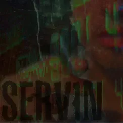 Servin - Single by Serv album reviews, ratings, credits