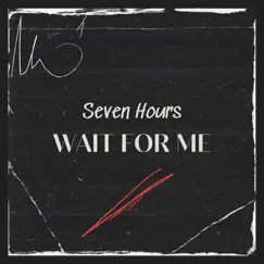 Wait For Me (Radio Edit) Song Lyrics