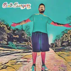 I'd Never Let You Go - Single by Bulk Bangerz album reviews, ratings, credits