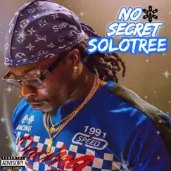 No Secret - Single by SoloTree album reviews, ratings, credits