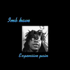 Expensive Pain - Single by Imb kave album reviews, ratings, credits