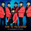 Por Tu Felicidad - Single album lyrics, reviews, download