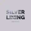 Silver Lining album lyrics, reviews, download