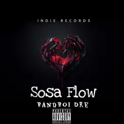 Sosa Flow, Pt. 2 Song Lyrics