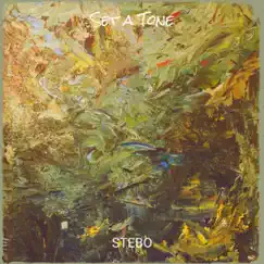 Set a Tone - Single by Stebo album reviews, ratings, credits