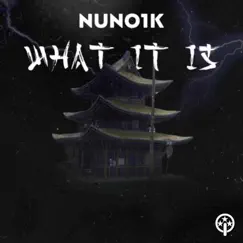 What It Is - Single by Nuno1k album reviews, ratings, credits