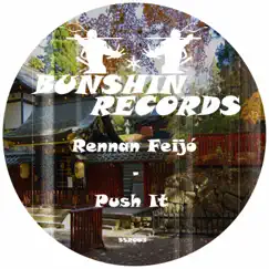 Push It - Single by Rennan Feijó album reviews, ratings, credits