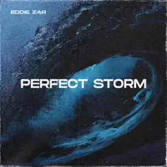 Perfect Storm (Summer Edit) - Single by Eddie Zar album reviews, ratings, credits