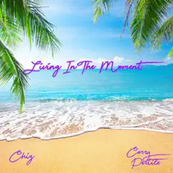 Living in the Moment (Radio Edit) - Single by Chiz album reviews, ratings, credits