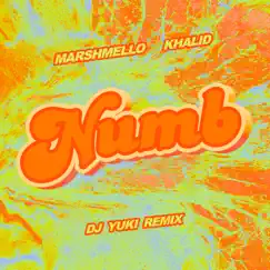 Numb (DJ YUKI Remix) - Single by Marshmello, Khalid & DJ YUKI album reviews, ratings, credits