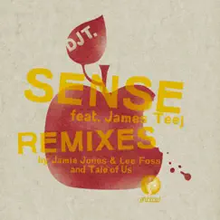 Sense (Jamie Jones & Lee Foss Remix) [feat. James Teej] Song Lyrics