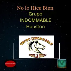 No Lo Hice Bien - Single by Grupo Indommable de Houston album reviews, ratings, credits